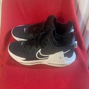 Nike LeBron Witness 6 Shoes